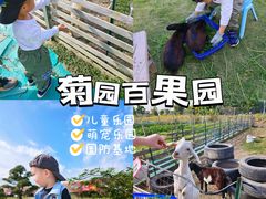 -菊园百果园