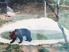 -泉州海丝野生动物世界