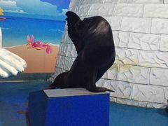-泉城欧乐堡海洋极地世界