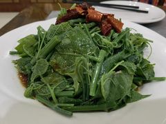 -上庄晋风庄园(上庄店)
