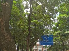 -建国蚵煎蚵面