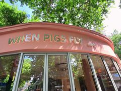 -WHEN PIGS FLY当猪飞