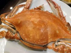 -浩运·海鲜青岛菜·海胆水饺(石老人店)