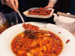 沸腾鱼-映水芙蓉(上海万象城店)