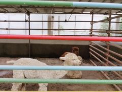 -南宫五洲植物乐园