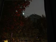 -复旦大学附属华山医院(总院)