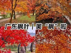-田野绿世界