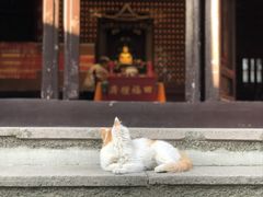 -灵谷景区