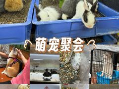 -溪岸路花鸟市场