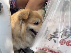 -老陈婆手工面庄