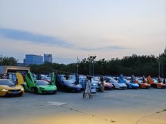 -枫花园汽车电影院(朝阳公园店)