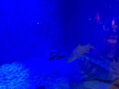 -华夏文旅西安度假区