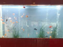 -阳澄湖费尔蒙酒店颐丰阁中餐厅(马鞍山西路店)