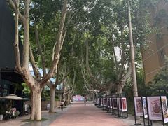 -西安电影制片厂