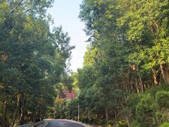 -平湖九龙山旅游度假区