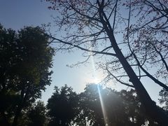 -珠海圆明新园