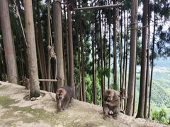 -太阳湾风景区