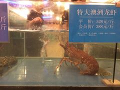 -都市阳光海鲜城(青山湖店)