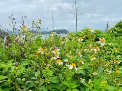 -漳州滨海火山岛自然生态风景区