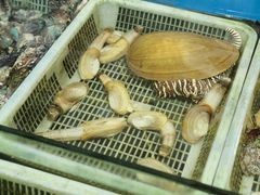 -潘先生海鲜城(神州半岛店)