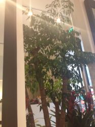 iphone_upload_pic-印·Style造型创始店