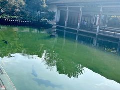 -楼外楼(玉泉店)