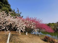 -白塘生态植物园