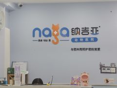 -纳吉亚猫专科动物诊疗中心(蒋宅口分院)