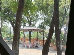 -陶缘一号·四季缘·老字号顺德菜·户外婚礼家宴(西滘店)