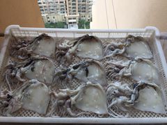 -青岛沙子口国家中心渔港