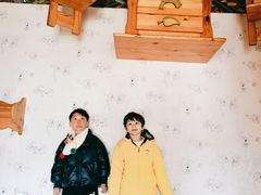 -金山农民画村-枫泾波兰倒置屋