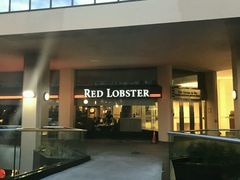 -RED LOBSTER(多伦多DT店)
