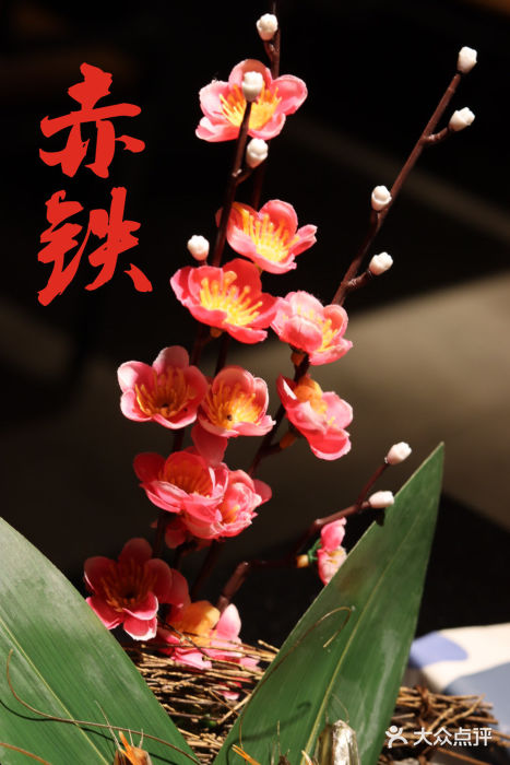 赤铁扒拉锅·烤串·烤鸽子图片
