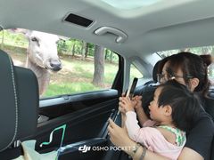 -南京金牛湖风景区