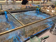 -半岛听涛蒸汽海鲜自助(K11店)