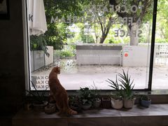 -ADO KAFE(大学城店)