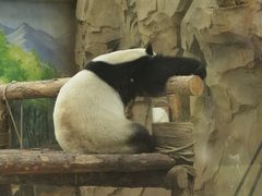 -青藏高原野生动物园