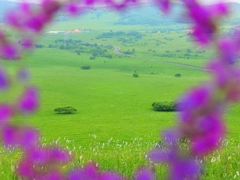 -乌兰布统草原
