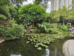 -晓港公园