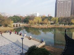 -堤角公园