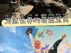 -太平洋海底世界