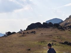 -大姆山草场