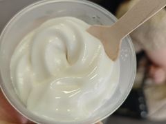 -洪馨椰子