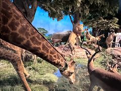 -国家自然博物馆