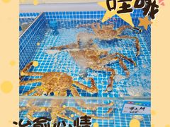-映像烟台·海鲜·地道鲁菜(黄山路店)