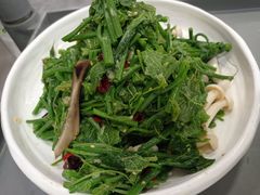菌香南瓜苗-蓝田印象