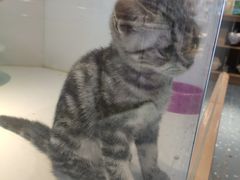 -龟与熊猫宠物公园(南坪店)