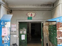 -水丰路鸡蛋饼