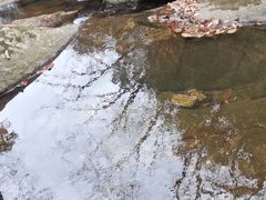 -燕子河大峡谷天坑仙境