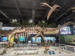 -国家自然博物馆